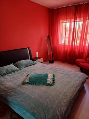 Apartament cu terasa la casa Tina